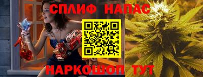 крисы Севастополь