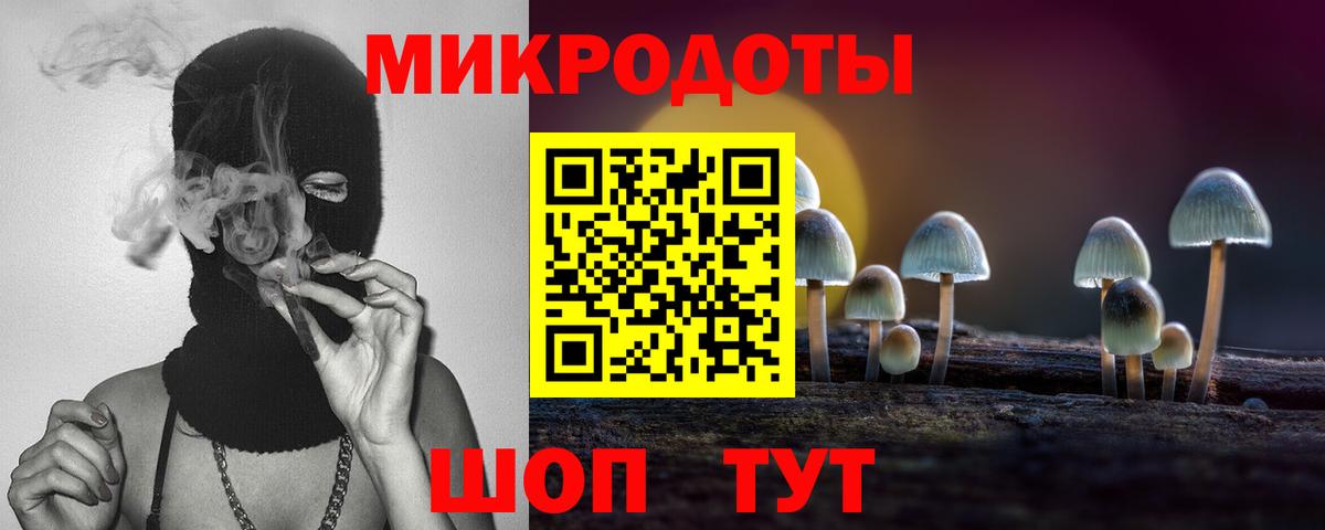 Галлюциногенные грибы Psilocybe Первоуральск